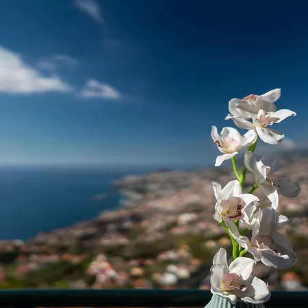 Ferienwohnung Fuer 4 Personen Ca 90 Qm In Funchal, Madeira Und Umgebung Funchal (Madeira)